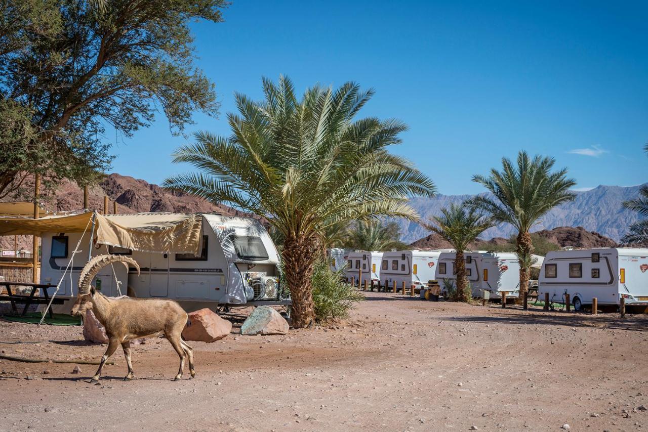 Park Timna Hotell Eilat Exteriör bild